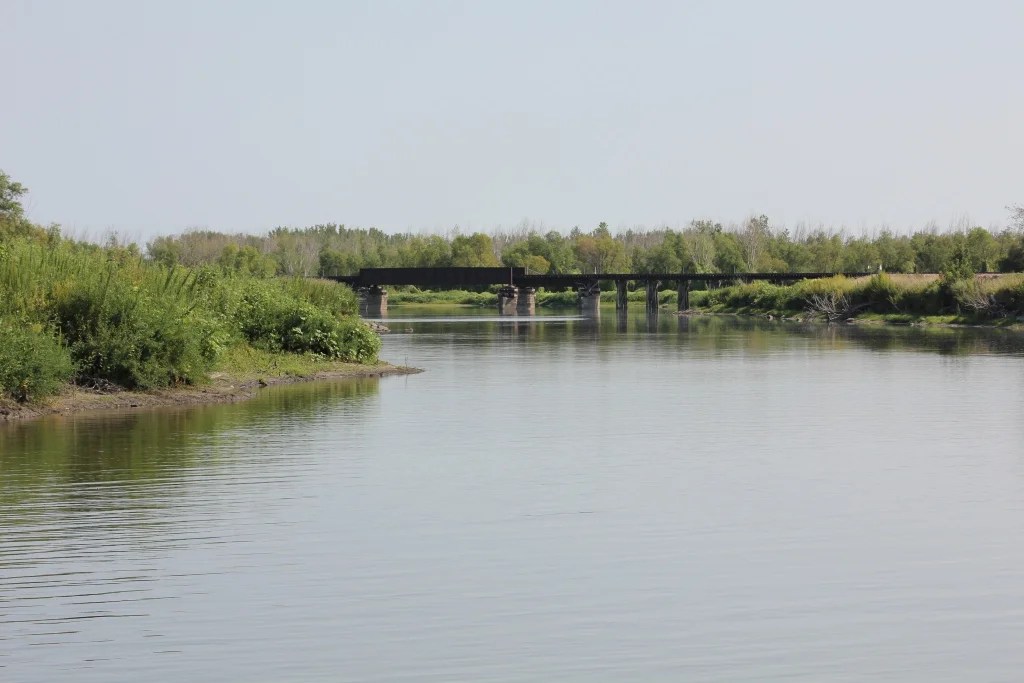 Marsh Lake Railroad Bridge